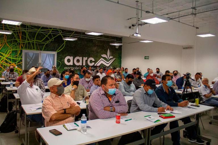 Fertilización eficiente en el cultivo de maíz