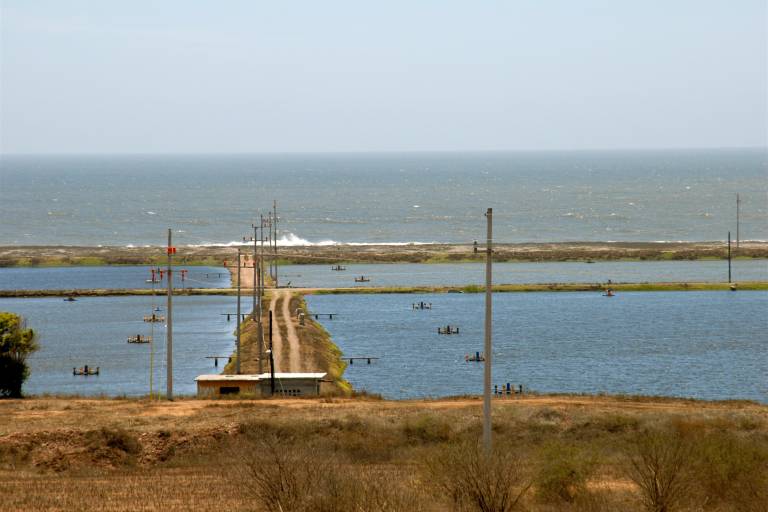 Abre Conapesca registro al Programa de Energía Eléctrica para Uso Acuícola