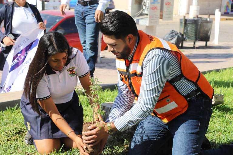 Inician en Elota programa de plantación de frutilla, especie en peligro de extinción