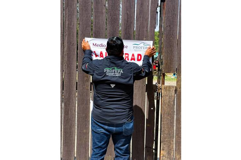 Clausuran el zoológico La Pastora, en Nuevo León, por el caso de la osa Mina