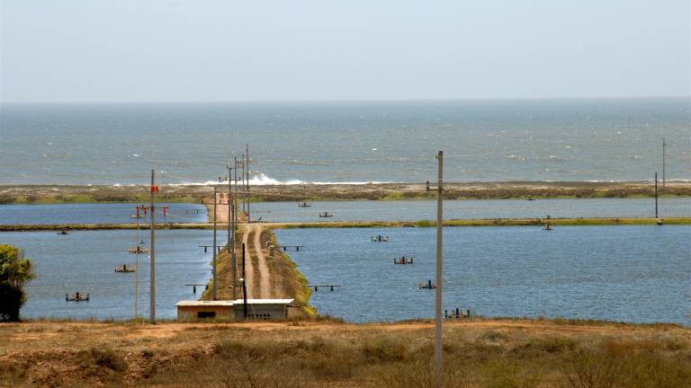 La Conapesca abrió el registro para el programa de apoyo de electricidad para granjas acuícolas.