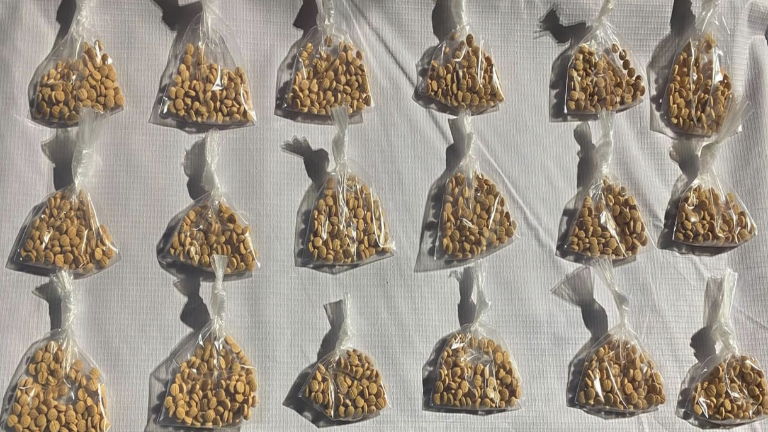 Bolsas de plástico con mil 800 pastillas de fentanilo aseguradas por el Ejército en la colonia República Mexicana.
