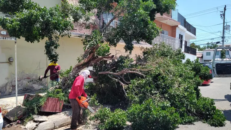Durante la jornada se dio limpieza a 178 rejillas, de las que se extrajeron 336 bolsas de residuos, equivalentes a mil 404 kilogramos de material que obstruía el flujo del agua.