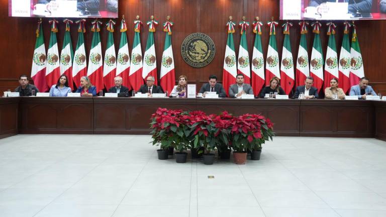 Landeros Güicho precisó que parte del crédito será para la rehabilitación y modernización de centros penitenciarios.