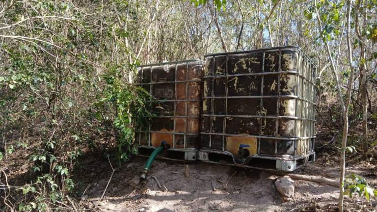 Personal de la Secretaría de Marina aseguró armas, municiones, vehículos y cubitanques de combustible durante operativos en distintos puntos de Sinaloa.