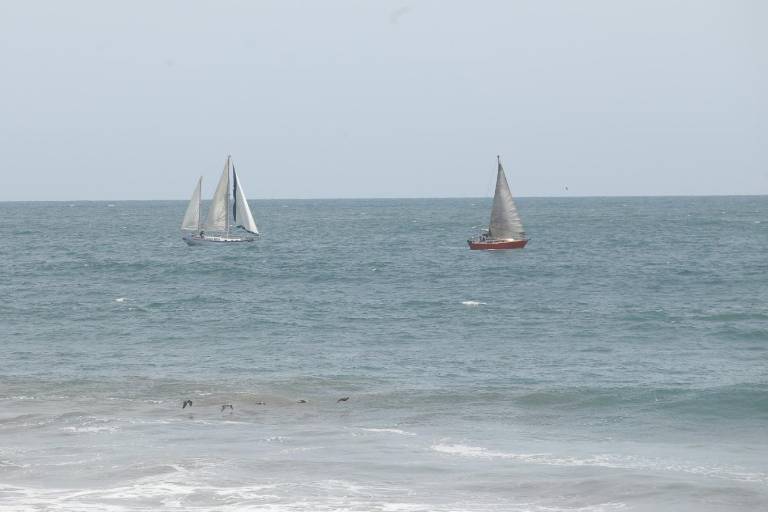 Festival del Mar 2025 continúa con regata de vela en Mazatlán