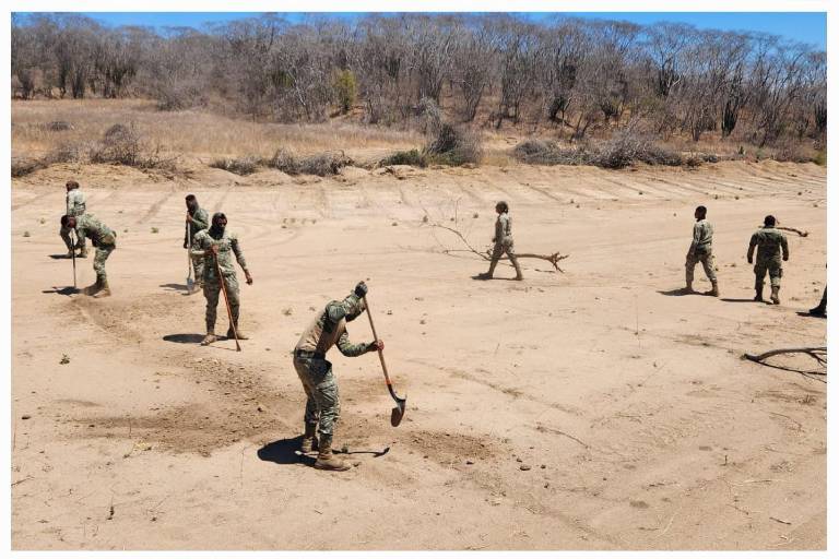 Operativos de seguridad en Sinaloa resultan en millonarias afectaciones económicas para las organizaciones criminales