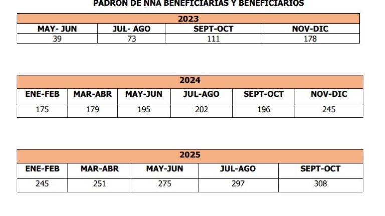 El programa estatal Infancias con Futuro mantiene en apoyo a 308 menores que perdieron a sus madres por feminicidio en Sinaloa.