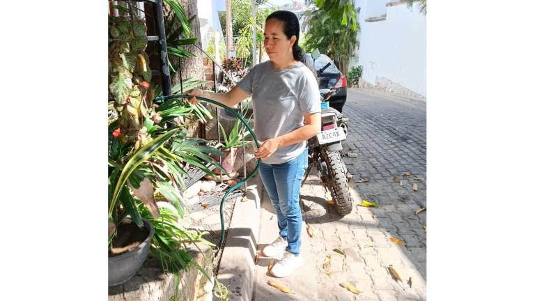 María de la Luz aseguró que la escasez del agua ya tiene el año y apenas el sábado pasado y parte del domingo les llegó buena presión.