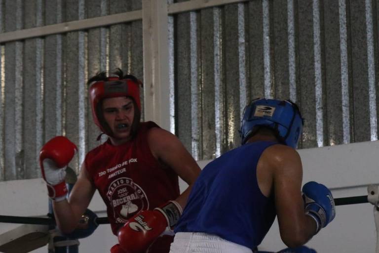 Torneo de Box José ‘Loco’ Becerra: Culmina con éxito el semillero de futuros campeones