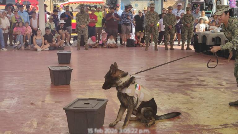 La Secretaría de Marina realizó en Mazatlán una demostración de binomios caninos en Playa Norte.