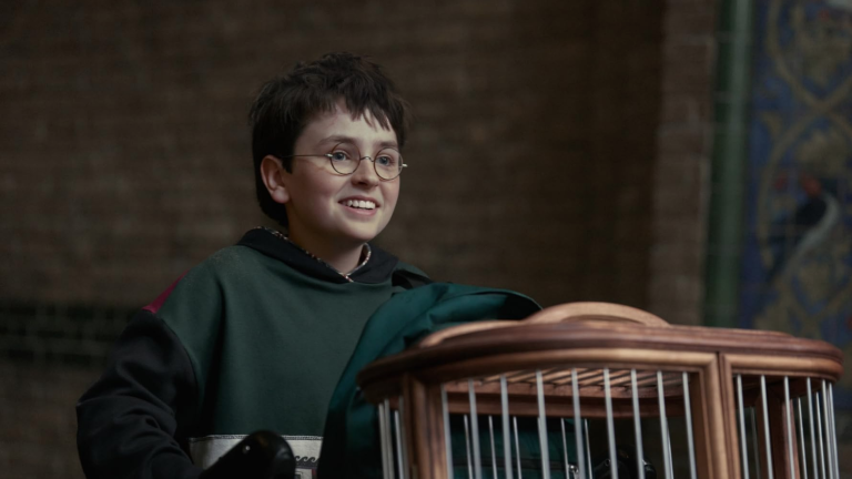 Dominic McLaughlin interpreta a Harry Potter.