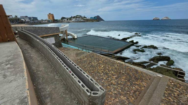 Con esa modificación del proyecto se busca ahorrar recursos por mantenimientos constantes cada año, lo que resulta caro.