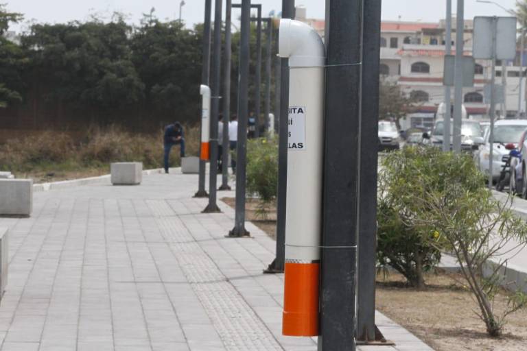 Ecología coloca ‘colilleros’ en linderos del Parque Central