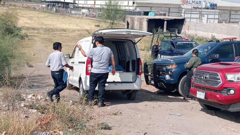 Personal de la Fiscalía de Sinaloa realizó las diligencias periciales tras el hallazgo de un cuerpo en Guasave.