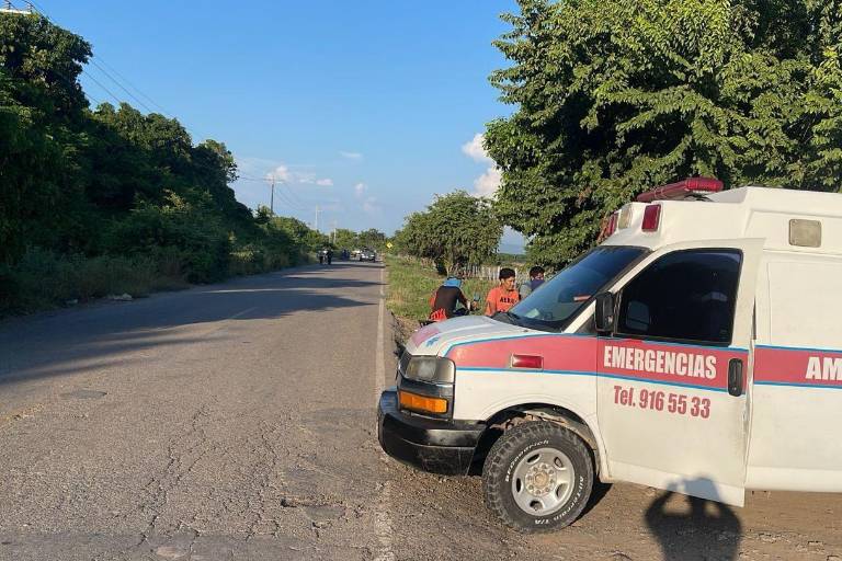 Muere adulto mayor por picaduras de abeja al sur de Mazatlán