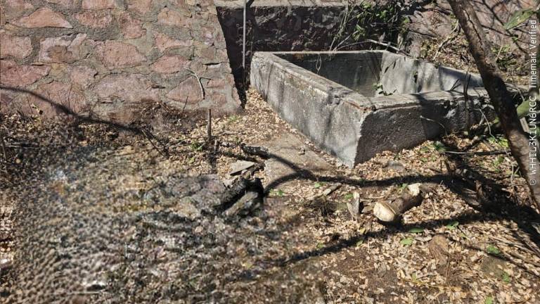 Elementos del Escuadrón de Salvamento Acuático realizaron labores de rescate en las antiguas instalaciones de Pemex, al sur de Mazatlán.