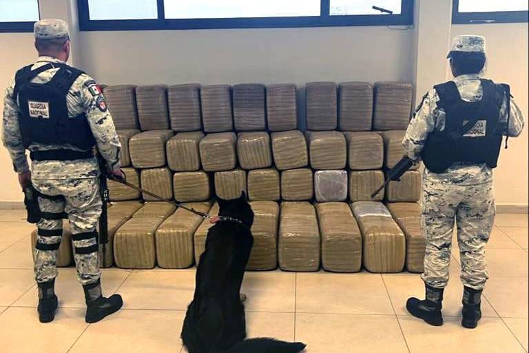 Aseguran en Nuevo León 600 kilos de mariguana procedentes de Mazatlán