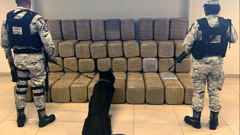 Los paquetes con aparente mariguana salieron de Mazatlán, Sinaloa, y llegaron hasta San Nicolás de los Garza, Nuevo León, donde fueron detectados por la Guardia Nacional.