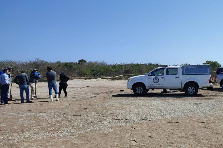 Localizan osamenta en zona de manglares al sur de Mazatlán