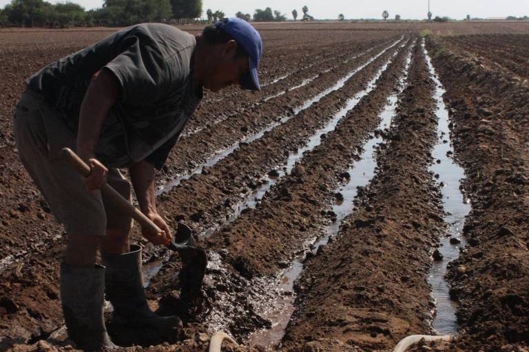 Agricultores privados de Guasave, en contra de Régimen de Confianza