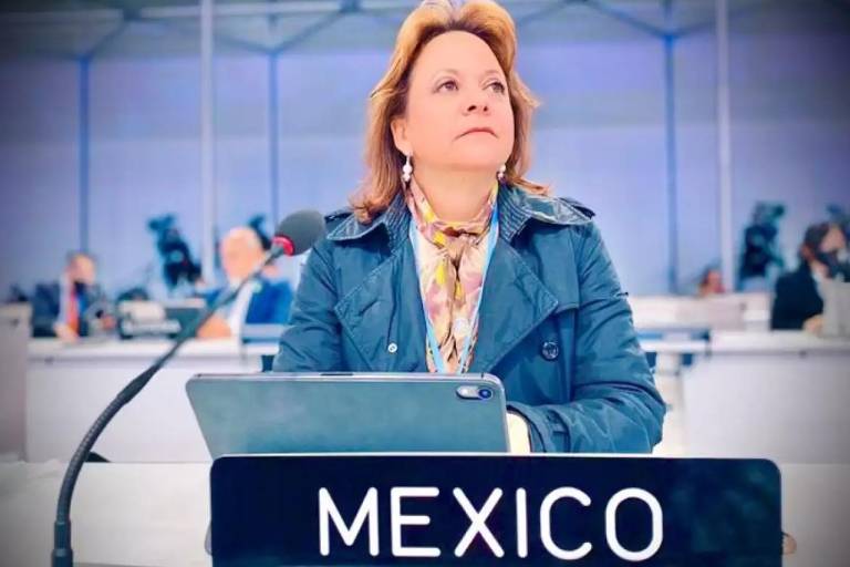 Martha Delgado renuncia a Subsecretaría de SRE