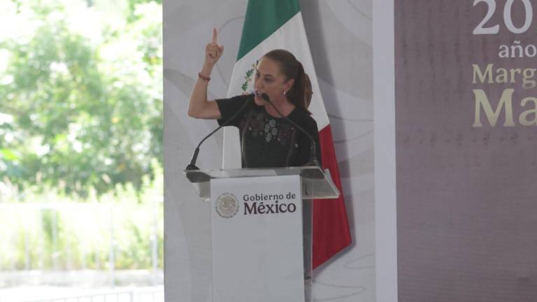 Sheinbaum señaló que dentro de las acciones que realizará su Gobierno se encuentra una reunión con autoridades federales para revisar la situación del camarón que está ingresando al País.