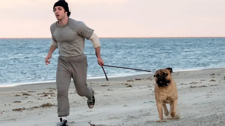 Anthony Ippolito dará vida a Rocky.