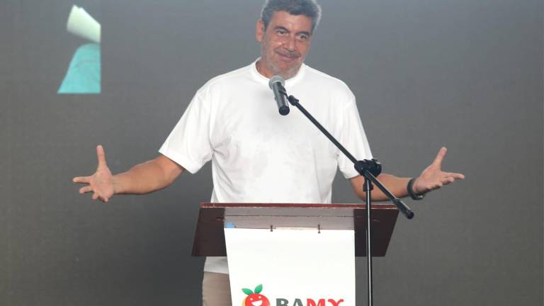 Arturo Elías Ayub dice que la desaparición del ascenso y descenso es una “barbaridad”.