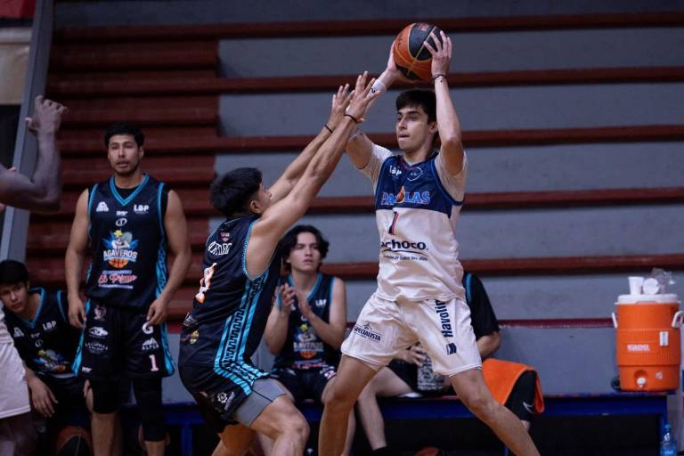 Hay novedades tras reunión virtual de la Liga de Baloncesto del Pacífico