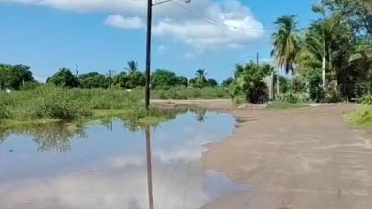 En la comunidad de Dautillos, el agua del mar llegó a las calles.