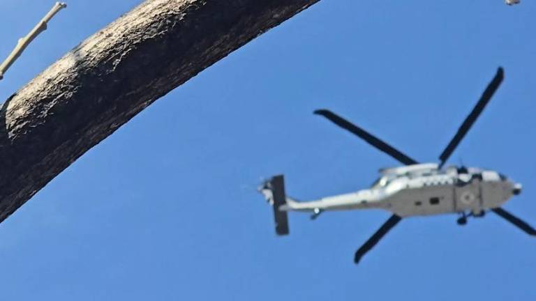 En Rosario este lunes se reanudaron la vigilancia aérea.