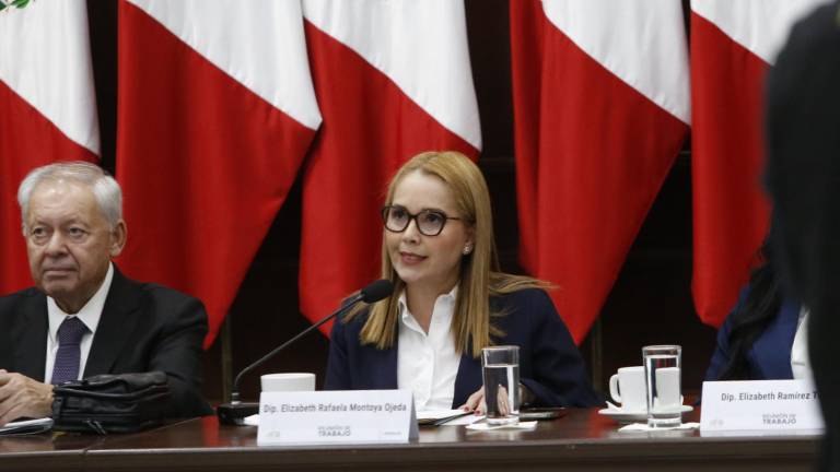 La Diputada local Rafaela Montoya Ojeda, de Movimiento Ciudadano, cuestiona el impacto de la crisis de violencia en niñas, niños y adolescentes.