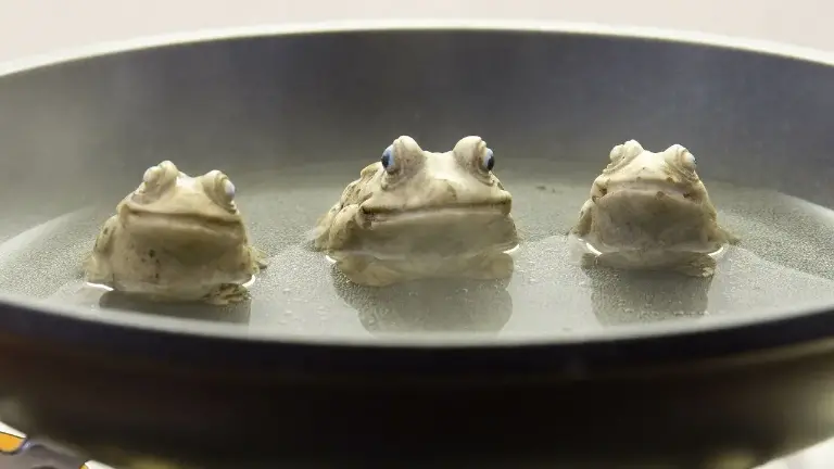 Y las ranas siguen hirviéndose...