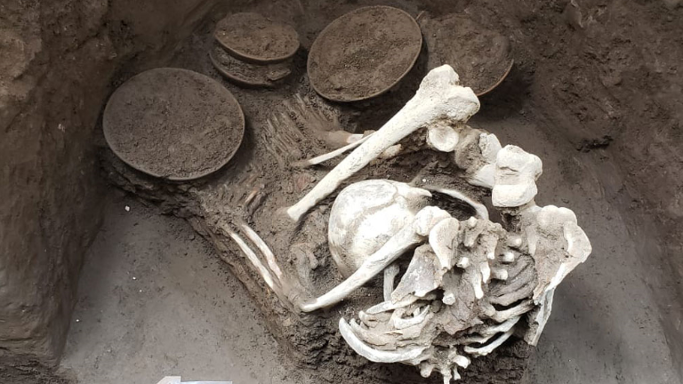 Los vestigios se registraron durante un salvamento arqueológico en un predio próximo al Eje 1 Norte y Ricardo Flores Magón.