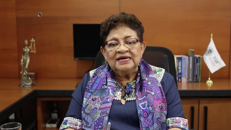 Ernestina Godoy detalló la investigación que permitió desarticular una red dedicada al contrabando de combustible mediante ferrotanques.