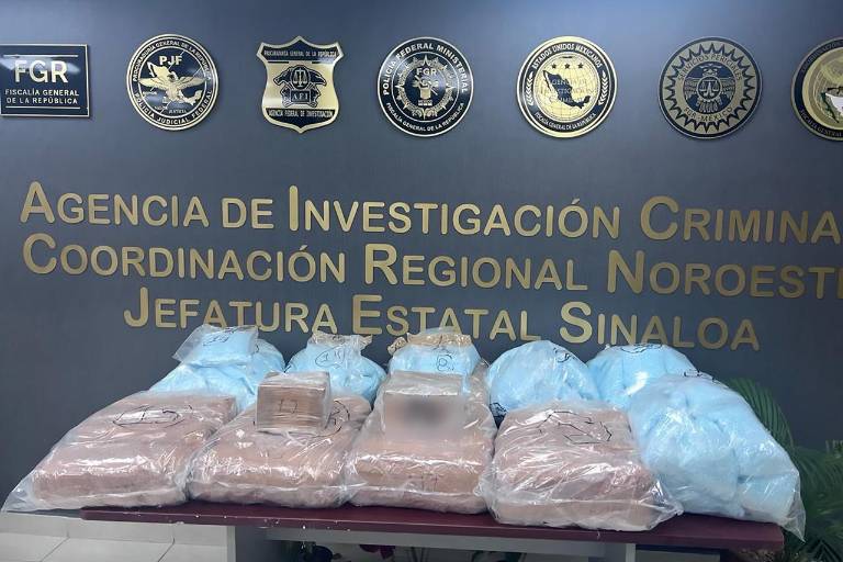 Aseguran 1.2 millones de pastillas de fentanilo en panales de abeja al norte de Culiacán