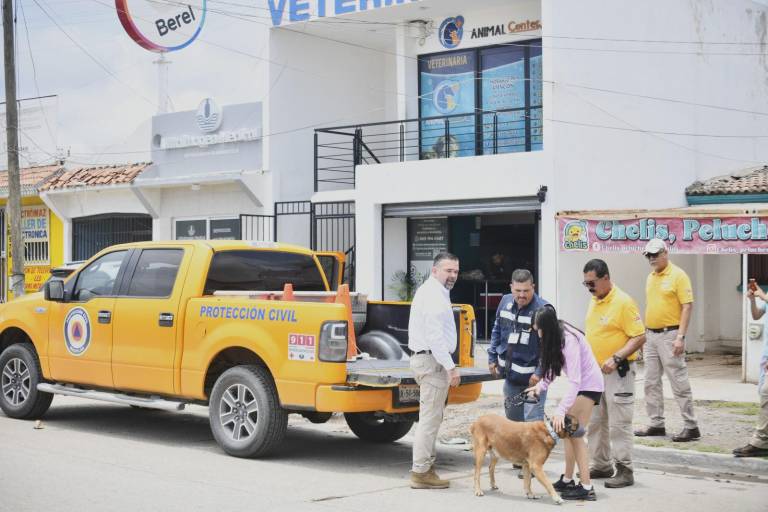 Dirección de Ecología acompaña a rescatista tras caso de maltrato animal en Mazatlán