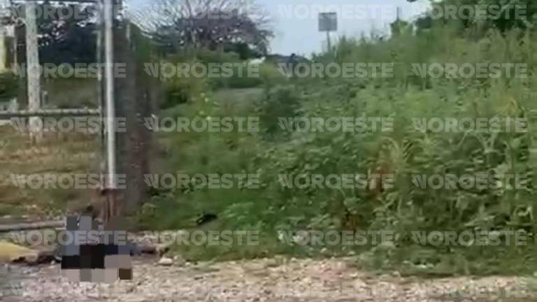 El cuerpo de un hombre asesinado a balazos fue localizado a un costado de la carretera Villa Unión-El Walamo.