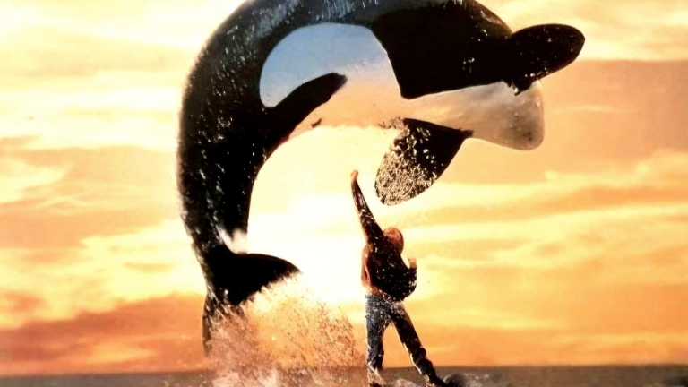 Free Willy tendrá una nueva versión.