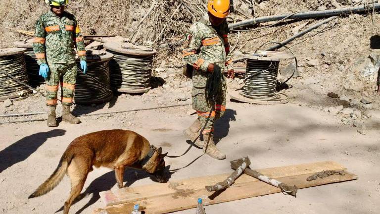 Diferentes instituciones, incluidos binomios caninos, se mantienen en los trabajos de rescate en la mina Santa Fe, en Rosario.