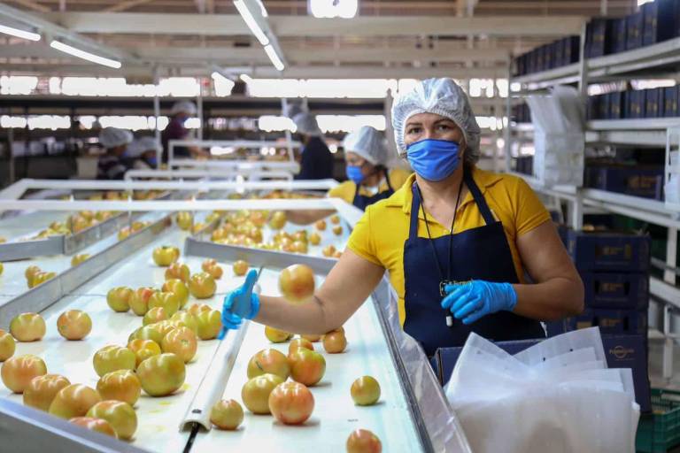 Banco Mundial baja a cero la estimación de crecimiento para México durante 2025