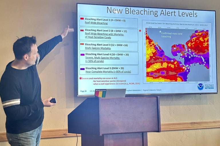 Establecen tres nuevos niveles de alerta por blanqueamiento de arrecifes de coral