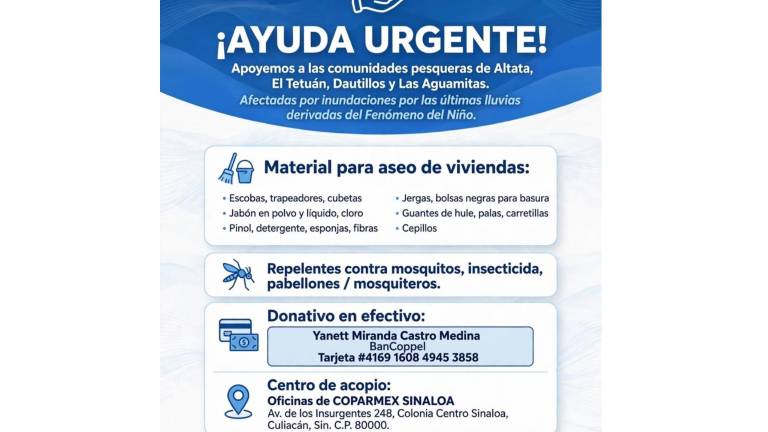 Entre los artículos que se requieren se encuentran escobas, trapeadores, cubetas, jabón en polvo y líquido, cloro, Pinol, detergente, esponjas y fibras.
