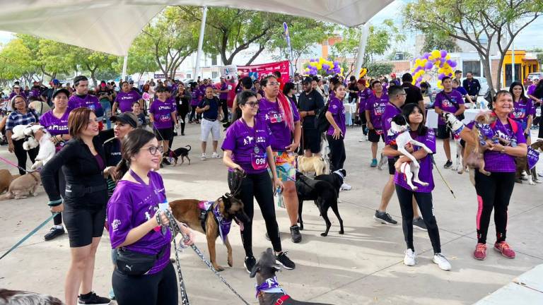 Más de 200 canes fueron llevados a participar en el Canrrera de este domingo en Mazatlán.