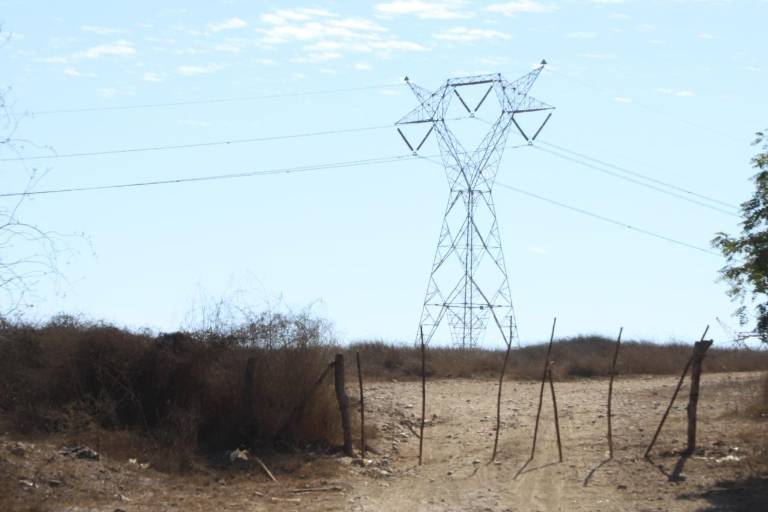 Rastreadoras localizan osamenta en marismas al sur de Mazatlán