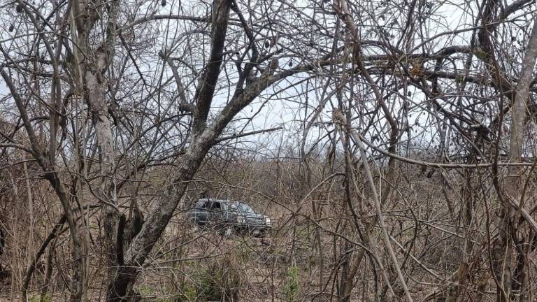 Confirman el hallazgo de cinco cuerpos en un predio en la zona de Matatán, en Rosario.