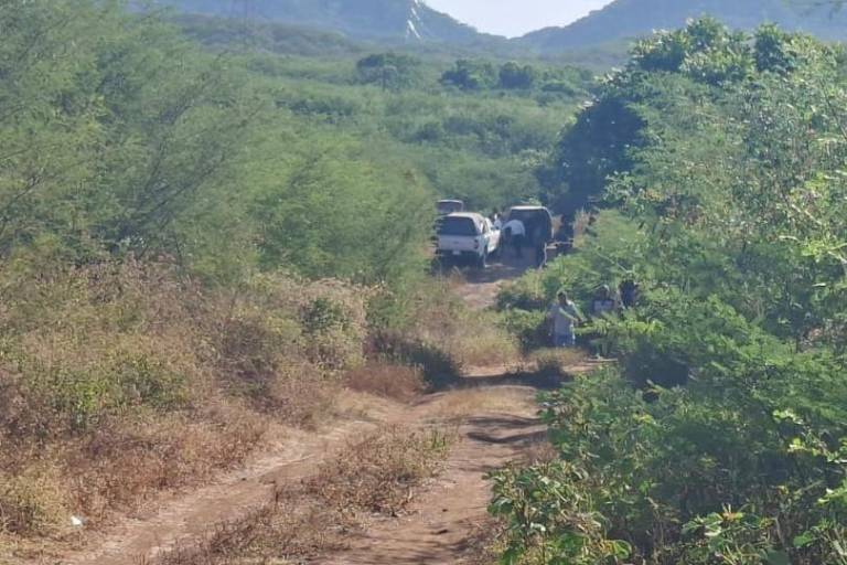 Asesinan a mujer en criadero porcino de El Chilillo, Mazatlán