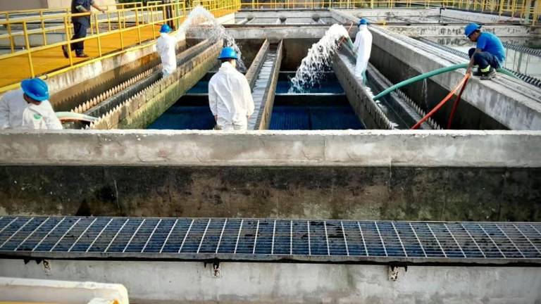 La Zona Metropolitana de Guadalajara enfrenta una crisis de calidad del agua potable.