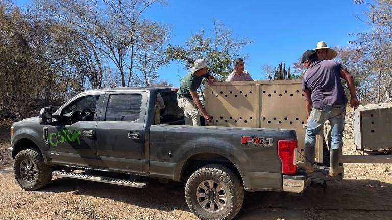 El vehículo es utilizado para hacer rescates y para poder trasladar alimento a los animales que viven en el santuario.